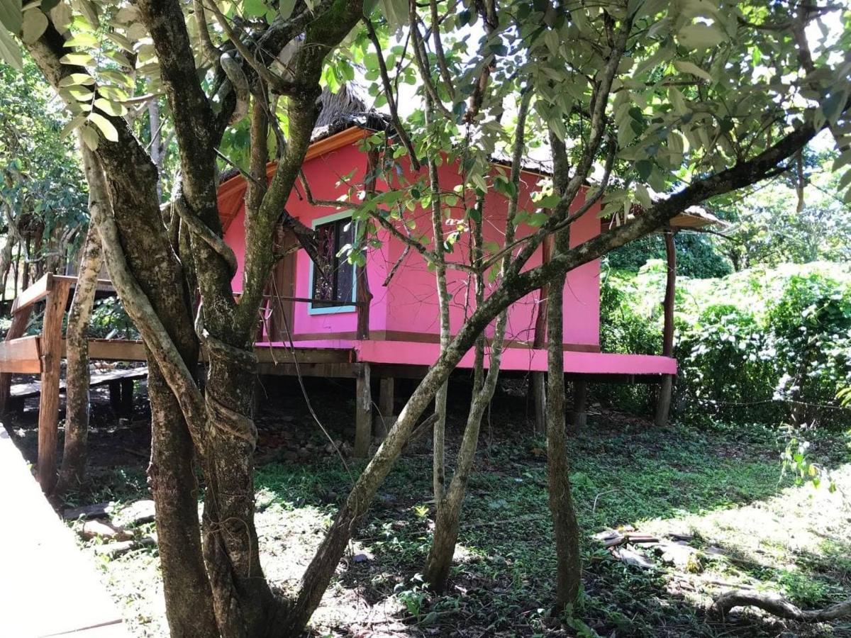 Gibbon Lodge Sen Monorom Zewnętrze zdjęcie